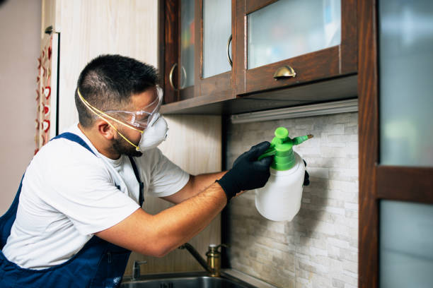 Best Bed Bug Extermination  in Ller, WA