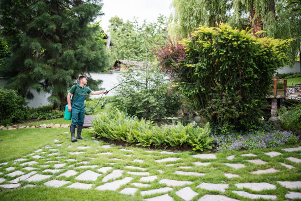 Pest Control Cost in Waller, WA