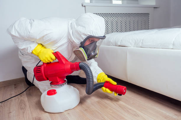 Best Wasp Removal Services  in Ller, WA