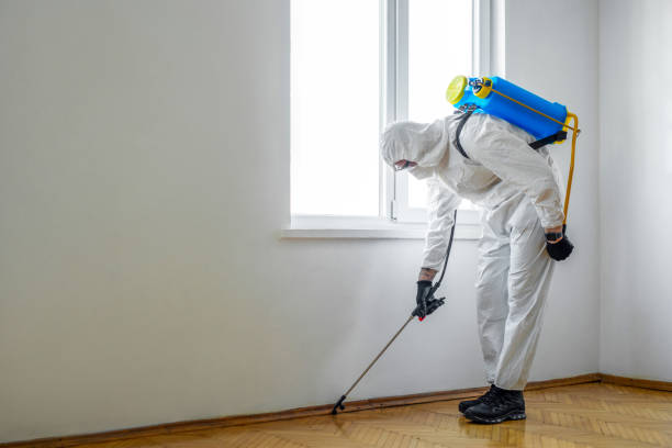 Best Best Pest Control Companies  in Ller, WA