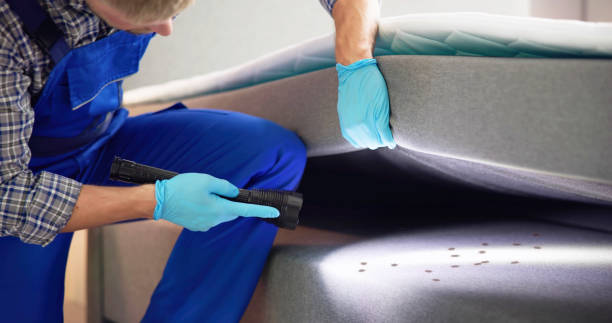 Best Pest Prevention Services  in Ller, WA
