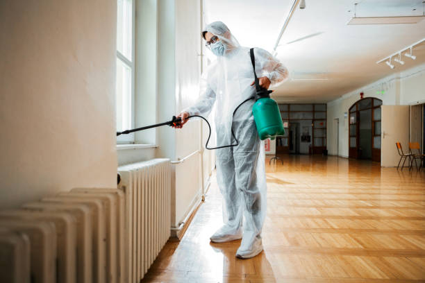 Flea Control Services in Waller, WA