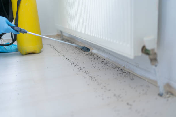 Best Insect Control  in Ller, WA