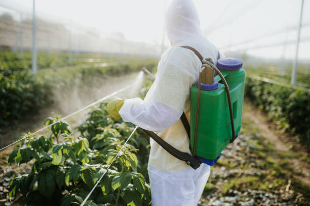 Best Mosquito Control Services  in Ller, WA